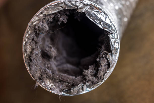 Best Affordable Duct Cleaning Services  in Valparaiso, FL